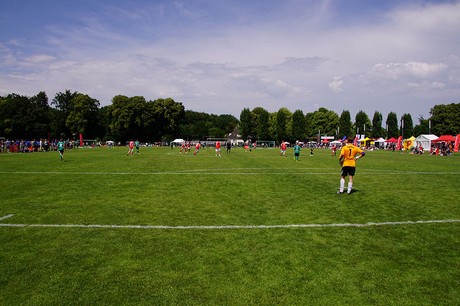 Com Together Cup